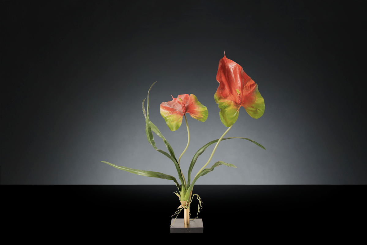 1700221705-1142939.96 GIANT ANTHURIUM_2LOW